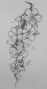Cherry Blossom Blossom Tattoo Flower Sketches Cherry Blossom Tattoo