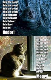 Hold The Door Hodor Let Me Out Meout Meow Cat Game Of Thrones Funny Games Game Of Thrones Funny Game Of Thrones Meme