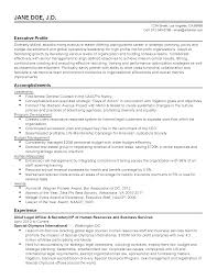 professional chief legal officer