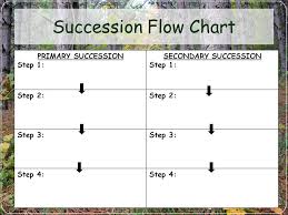 Changes In Ecosystems Ecological Succession Ppt Video