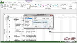 Ms Project 2013 How To Apply Format Gridlines Demo