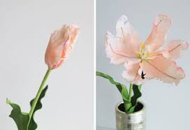 Alternatives to natural flowers range from silk flowers, foam flowers and plastic flowers to paper flowers and those made from latex. How To Care For Fake Flowers And Artificial Plants Afloral Com