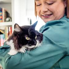 Katie Staudt Photography