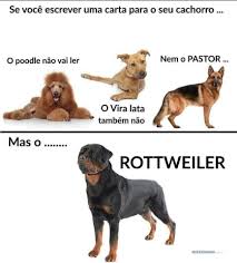 Piadas Infames - Trago verdades. | Facebook