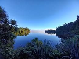 We did not find results for: Edible Plants Lake Mapourika Cabbage Tree Franz Josef Nz