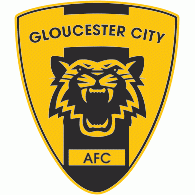Hull city play their home games at the kcom stadium. Hull City Afc Brands Of The World Download Vector Logos And Logotypes
