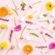 See characteristics of your astrological sign and unveil your personality traits. The Best Mother S Day Flowers For Your Mom S Zodiac Sign Brit Co