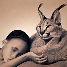 Fotografía #VitaMIND #EspacioSeguro Gregory Colbert @gregorycolber es el  fotógrafo creador de la famosa exhibición «Ashes and Snow». Una experiencia  inmersiva que combina obras de arte, películas y paisajes sonoros  fotográficos. Se presentó