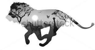 Silhouette Running Lion Inside Savannah Landscape With Silhouettes Of Animals And Trees At Sunset Black And Whi Animal Silhouette Lion Silhouette Running Art Download lion silhouette stock vectors. silhouette running lion inside