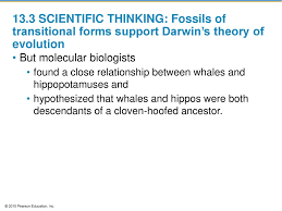 Darwins Theory Of Evolution Ppt Download