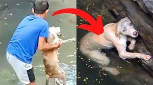 Boy Thinks He Saves Dog, When He Sees What It Is, He Turns Pale - YouTube
