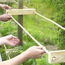 Video Himbeerspalier Bauen In 2020 Garten Ideen Gemuse Garten Bepflanzen Spalier