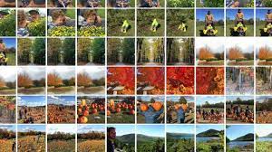 Maybe you would like to learn more about one of these? Google Google Photos Facebook