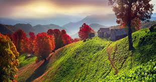 Природа україни славиться у всьому світі своєю красою. Fotografii Zakarpate Ukraina Osennie Priroda Holm Pejzazh Doma