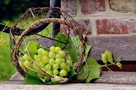 Can Hermit Crabs Eat Grapes Animal Hype