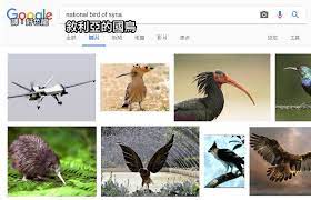 pin by unazure on 搞笑 社會 議題 animals bird