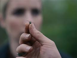 Damien Hamlin American Horror Story Test of Strength Season 4 Episode 7