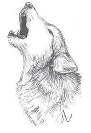 Lobo Wolf Dibujo Arte Dibujo A Mano Esbozo De Lobo Dibujar Arte Bosquejos De Animales