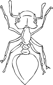 Some of the colouring page names are ants working coloring tags summer season pictures, ants house coloring ants house coloring, coloring ant big back insects ants, grass grow so well coloring color luna, insects coloring, big eyed ants coloring best place to color, ant lift big strawberry coloring coloring sky, leafcutter ant. Ant Pictures For Kids Coloring Home