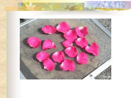 I had previously used inexpensive cat litter silica for drying. Using Designing With Everlasting Flowers Ppt Download