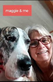 Dog-friendly patio suggestions for grieving dane