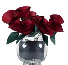 Reprezinta marcile inregistrate ale s.c. Glissando Garden Center GrÄdina Mea PreferatÄ