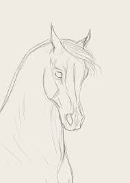 How To Draw Horse Faces Horse Drawings Horse Art Drawing Horse Face Drawing