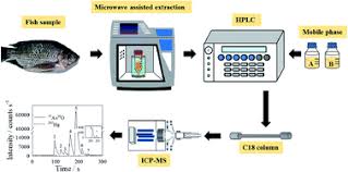 Press ctrl + shift + ~ during game play to display the console prompt. European X Ray Spectrometry Association Exsa