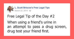 The major plus of short jokes is that they're easy to repeat from off the top of your head, meaning that the 50 gags below are perfect for pulling out the next time you're hanging around with your friends, entertaining your kid. Lawyer Posts Hilarious Legal Tips Based On Things That Actually Happened During His 19 Year Practice Bored Panda
