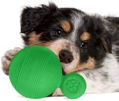 Include brushes that can comfortably smooth out a cat or dog's fur while removing excess hairs that are being shed. Mjm Pet Supplies Dog Supplies Dog Accessories Dog Toys