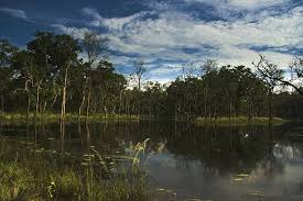 Check spelling or type a new query. A Brief History Of Nepal S Chitwan National Park G Adventures
