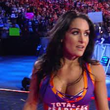 See more ideas about nikki bella, nikki, nikki and brie bella. Wwe Elimination Chamber 2017 Results Double Countout Settles Nothing In Nikki Bella Natalya Feud Cageside Seats