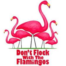 Image Result For Flamingo Emoji Flamingo Flamingos Quote Funny Flamingo