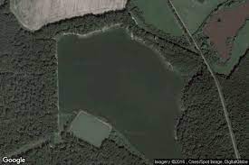Tian es el asesor del rey deo y un férreo enemigo de las brujas, a pesar de que ahora conviven en paz en el reino. Etang De La Tuilerie Loiret 45 Avis Et Tarifs Etang De Peche