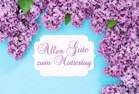 Lilac Flowers Greetings Card German Lilac Flowers Greeting Cards Lilac