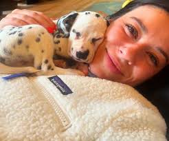 Alpha-N-Omega-Dalmatians CHAMPION DALMATIAN AKC BREEDER OF MERIT