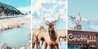 Auto insurance is important, especially when you've been in a car accident. 9 Things To Do In Jackson Hole Wyoming In The Winter