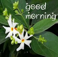 Pin On Morning To Night Blessing