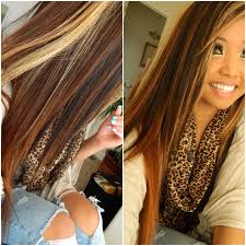 Long Brown Hair With Blonde Highlights And Dark Brown Lowlights I Want This With More Blond Brown Blonde Hair Brown Hair With Blonde Highlights Long Brown Hair