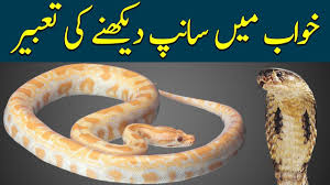 Khawab Mein Sanp Dekhne Ki Tabeer Khawab Mein Sanp Ko Dekhna Pakarna Snake Islamic Videos Dream