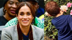 Influencer Hayley Kalil receives backlash over Met Gala video: 'Let them  eat cake!'