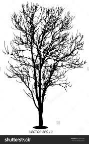 Tree Silhouette Dry Tree Or Dead Tree On White On Background Tree Dry Dead Background Silhouette White Black Tree Silhouette Dry Tree Tree Painting
