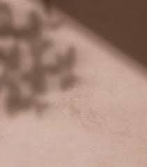 To be the leader and trusted medical aesthetic company. About Lebody Asia