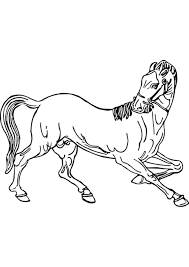 We did not find results for: 84 Horse Coloring Pages Coloring Pages