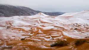 Africa must rise against dictators like buhari, says group. Schnee In Der Sahara Geo