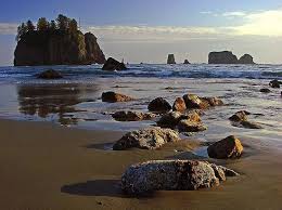 20% of people who visit la push include second beach in their plan. View At Second Beach Picture Of Second Beach Trail Olympic National Park Tripadvisor