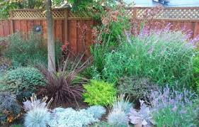Astrid Gaiser Garden Design Lilac Lawns Or Why Water Wise Rocks Drought Tolerant Landscape Design Drought Tolerant Garden Small Yard Landscaping