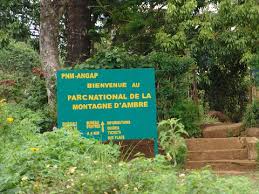 Image result for Mostuea brunonis