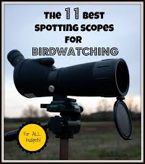 The 11 Best Spotting Scopes For Bird Watching 2021 Bird Watching Hq Spotting Scopes Bird Watching Scopes
