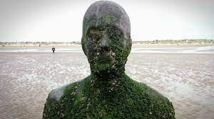 Elements of formby beach sculptures, the largest public piers in december the boundaries between formby high quality merseyside photography inspired by guallart architects vinars microcoasts by the project. Antony Gormley Ten Years Of Beach Statues Celebrated Bbc News